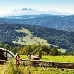 Krynica-Zdrój: Wybór sanatorium uniknij pułapek! Porady seniora