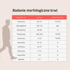 Tabela z normami badań morfologicznych krwi: erytrocyty, hemoglobina, hematokryt, trombocyty, leukocyty, neutrofile, limfocyty, monocyty, eozynofile, bazofile.