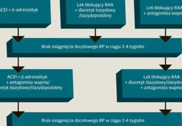 Schemat leczenia nadciśnienia tętniczego: kombinacje leków, w tym ACEI, beta-adrenolityki, blokery RAA, antagoniści wapnia i diuretyki.