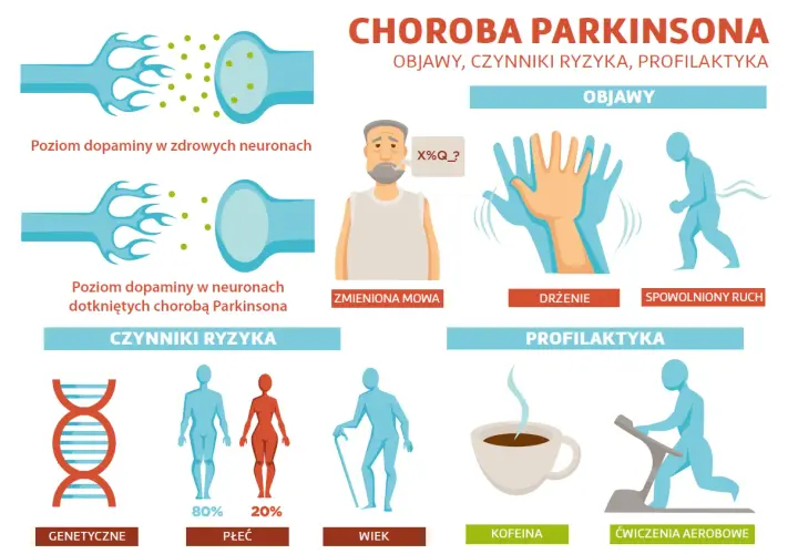 Ilustracja przedstawia chorobę Parkinsona: objawy (drżenie, spowolniony ruch, zmieniona mowa), czynniki ryzyka (genetyka, płeć, wiek) i profilaktykę (kofeina, ćwiczenia).