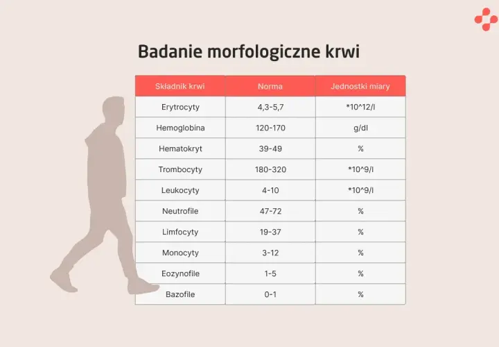 Tabela z normami badań morfologicznych krwi: erytrocyty, hemoglobina, hematokryt, trombocyty, leukocyty, neutrofile, limfocyty, monocyty, eozynofile, bazofile.