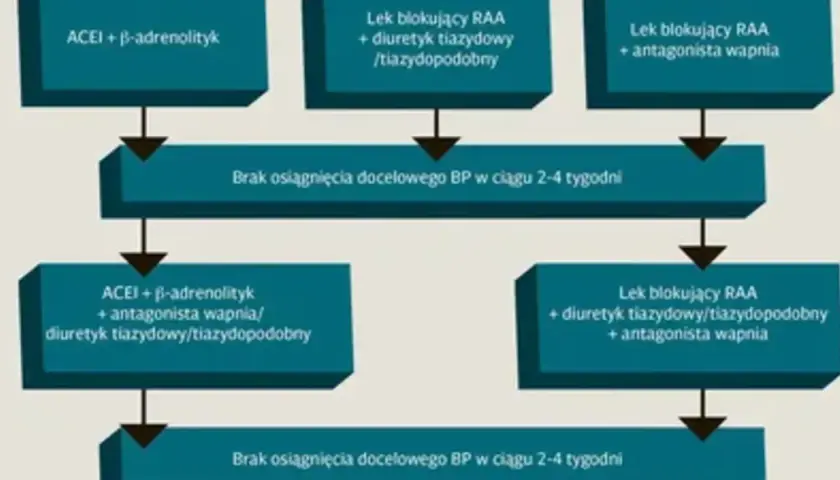 Schemat leczenia nadciśnienia tętniczego: kombinacje leków, w tym ACEI, beta-adrenolityki, blokery RAA, antagoniści wapnia i diuretyki.