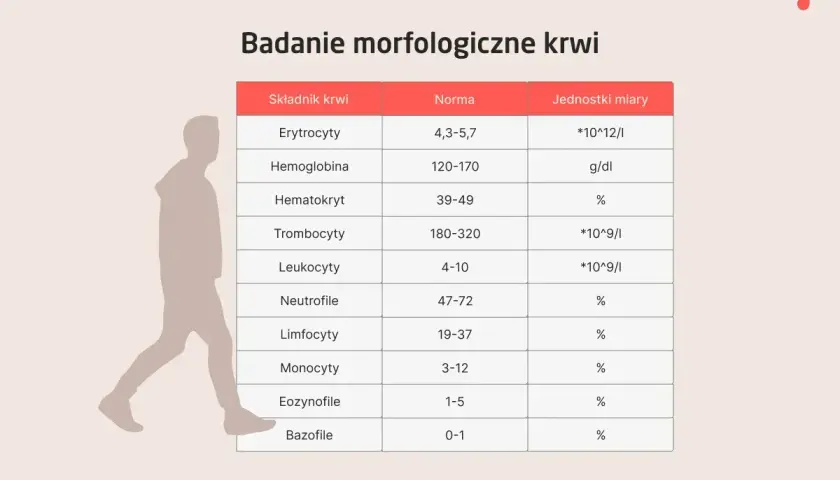 Tabela z normami badań morfologicznych krwi: erytrocyty, hemoglobina, hematokryt, trombocyty, leukocyty, neutrofile, limfocyty, monocyty, eozynofile, bazofile.