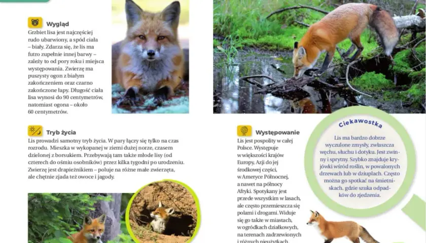 Zwierzę dla dziecka z autyzmem? Wybierz mądrze! Poradnik Macieja Jabłońskiego