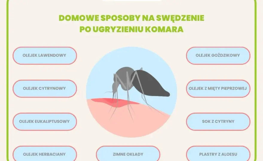 Uczulenie na komary - jak rozpoznać silną reakcję i co zrobić?