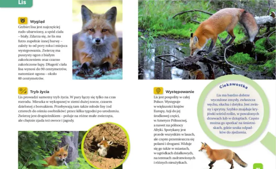 Zwierzę dla dziecka z autyzmem? Wybierz mądrze! Poradnik Macieja Jabłońskiego