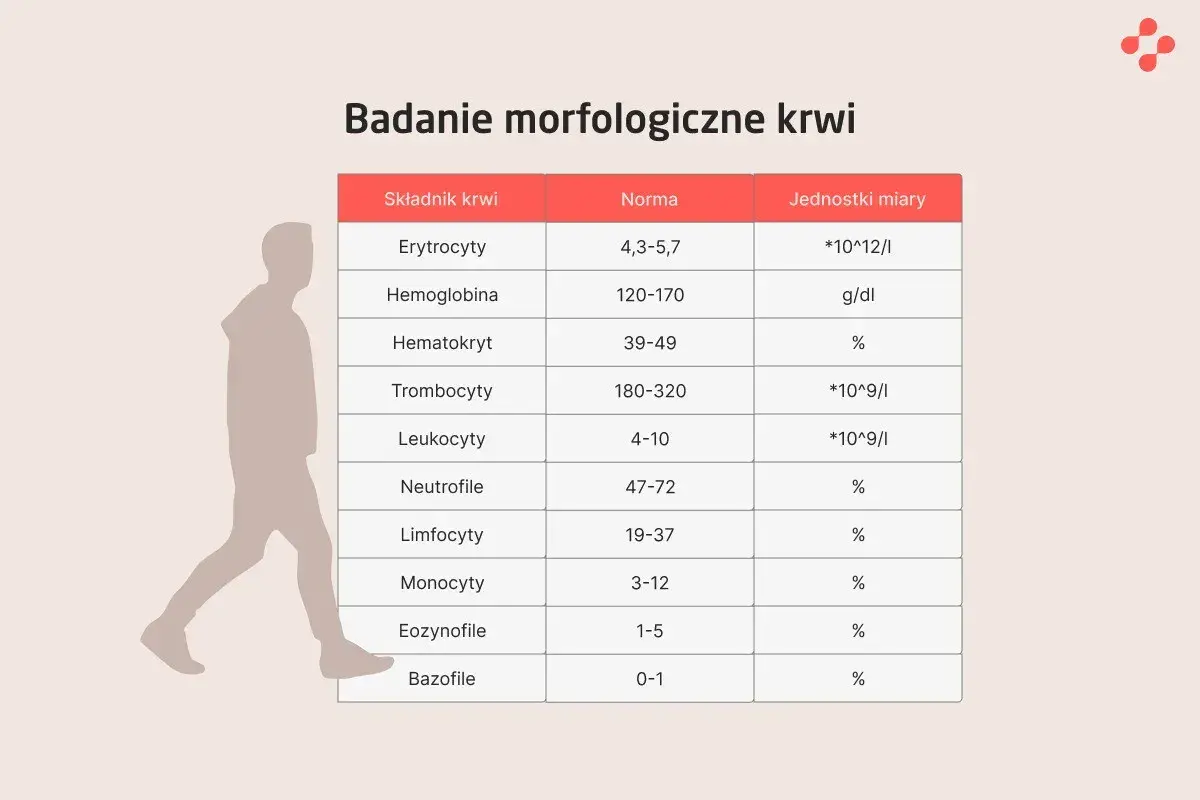 Tabela z normami badań morfologicznych krwi: erytrocyty, hemoglobina, hematokryt, trombocyty, leukocyty, neutrofile, limfocyty, monocyty, eozynofile, bazofile.