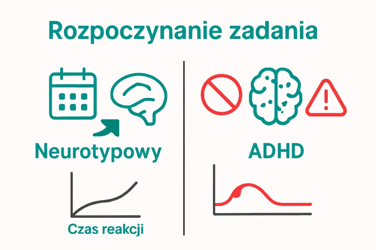 mózg osoby z ADHD vs mózg neurotypowy